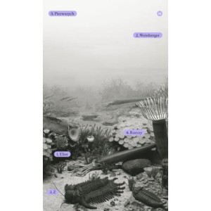 Z rzeczy pierwszych - Eliot Weinberger