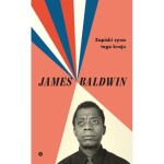 Zapiski syna tego kraju - James Baldwin