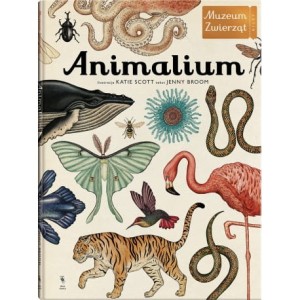 Animalium - Scott Katie, Jenny Broom