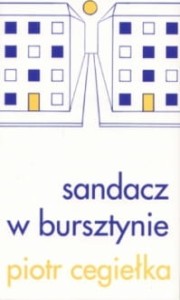 Sandacz w bursztynie - Piotr Cegiełka