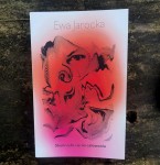 SKOŃCZYŁO SIĘ NA CAŁOWANIU - Ewa Jarocka