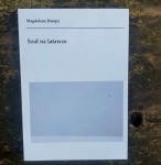 SZAŁ NA LATAWCE - Magdalena Dampz