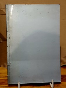 Utracona demokracja. Studium myśli społeczno-politycznej Otto Bauera (1881-1938) Tom II - Ewa Czerwińska