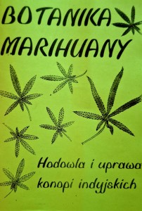 Botanika marihuany: hodowla i uprawa konopi indyjskich