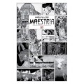 maestria.jpg